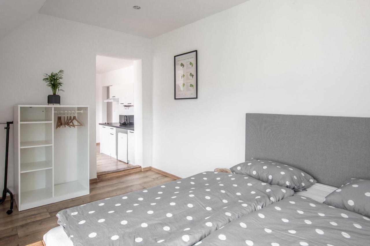 Apartmany Na Mikulasskem Namesti Зноймо Экстерьер фото